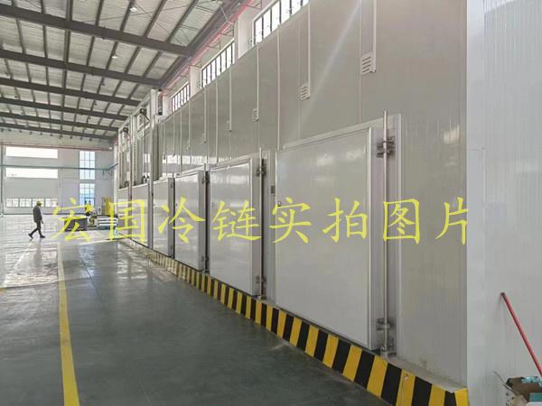 案例展示三