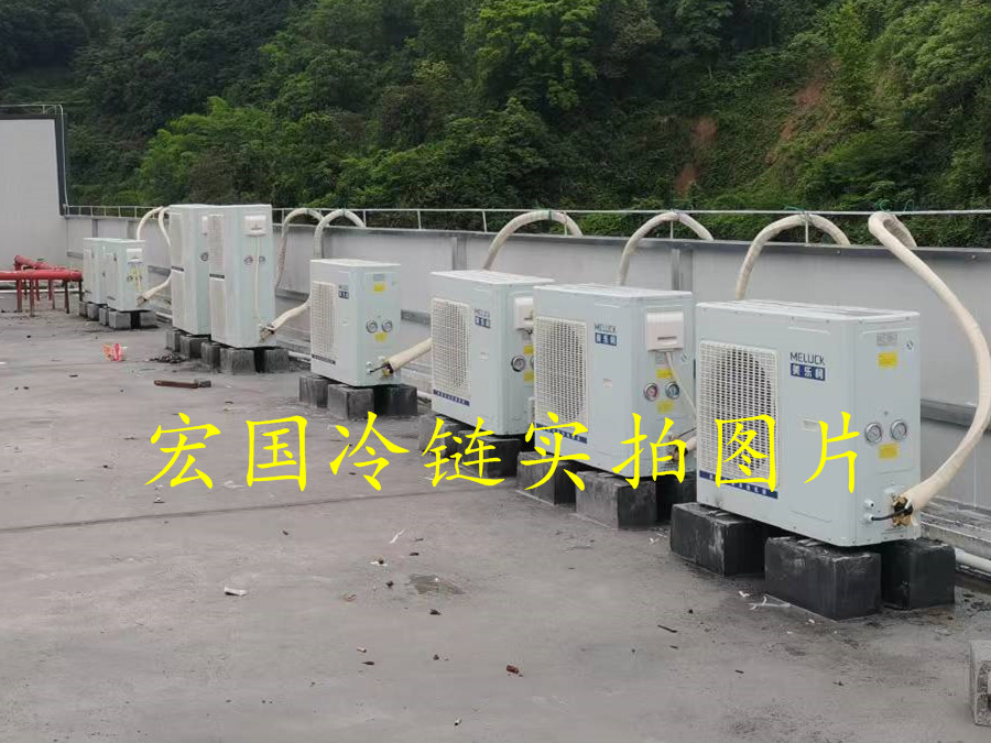 案例展示五